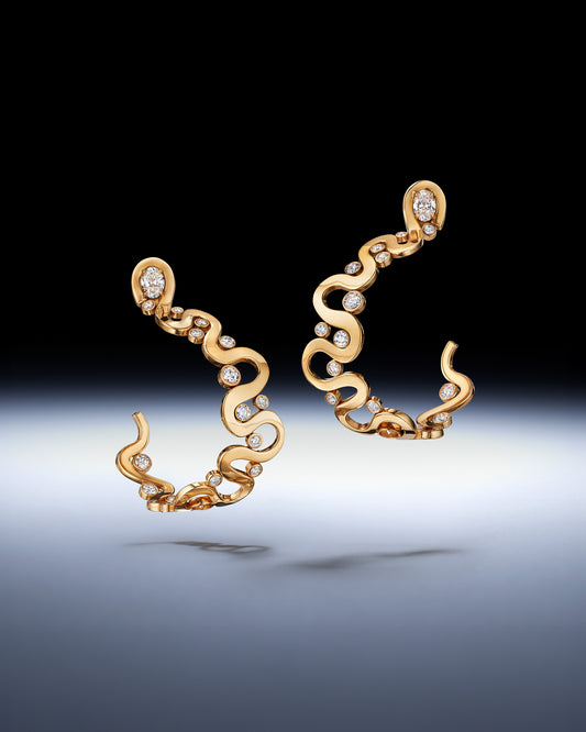 Loop Earrings