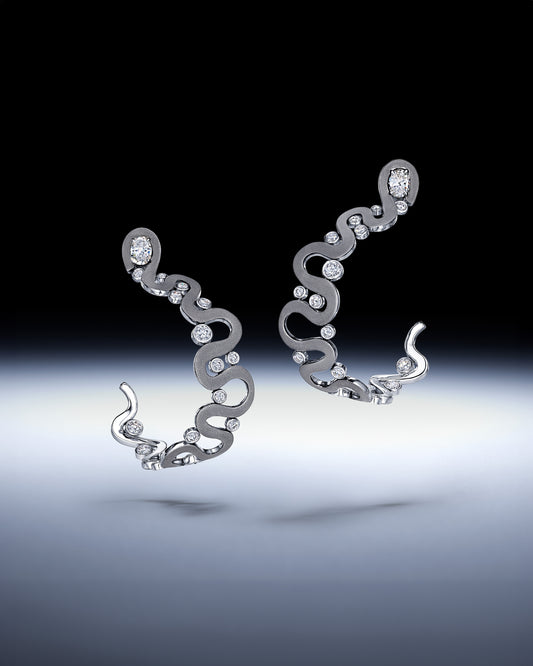 Loop Earrings