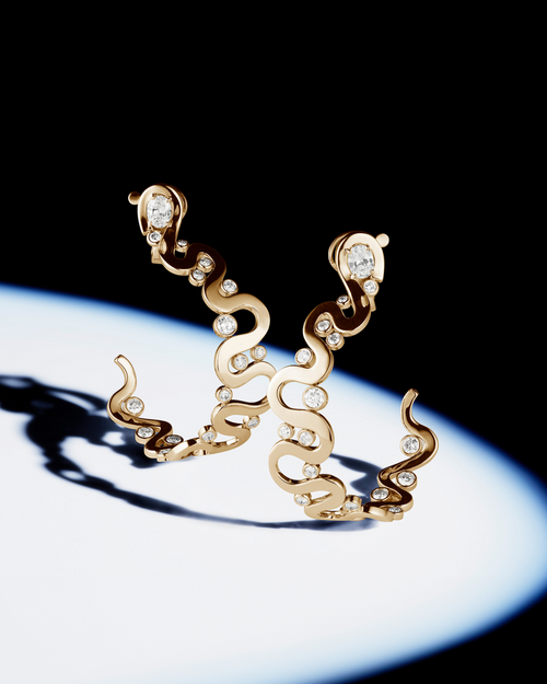 Loop Earrings